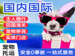 沈阳桃仙空运代理国际宠物托运 【国